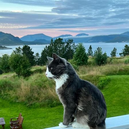 Wake Up To A Beautiful View And Smell Of The Sea Apartment Kristiansund Bagian luar foto