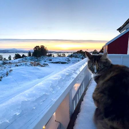 Wake Up To A Beautiful View And Smell Of The Sea Apartment Kristiansund Bagian luar foto