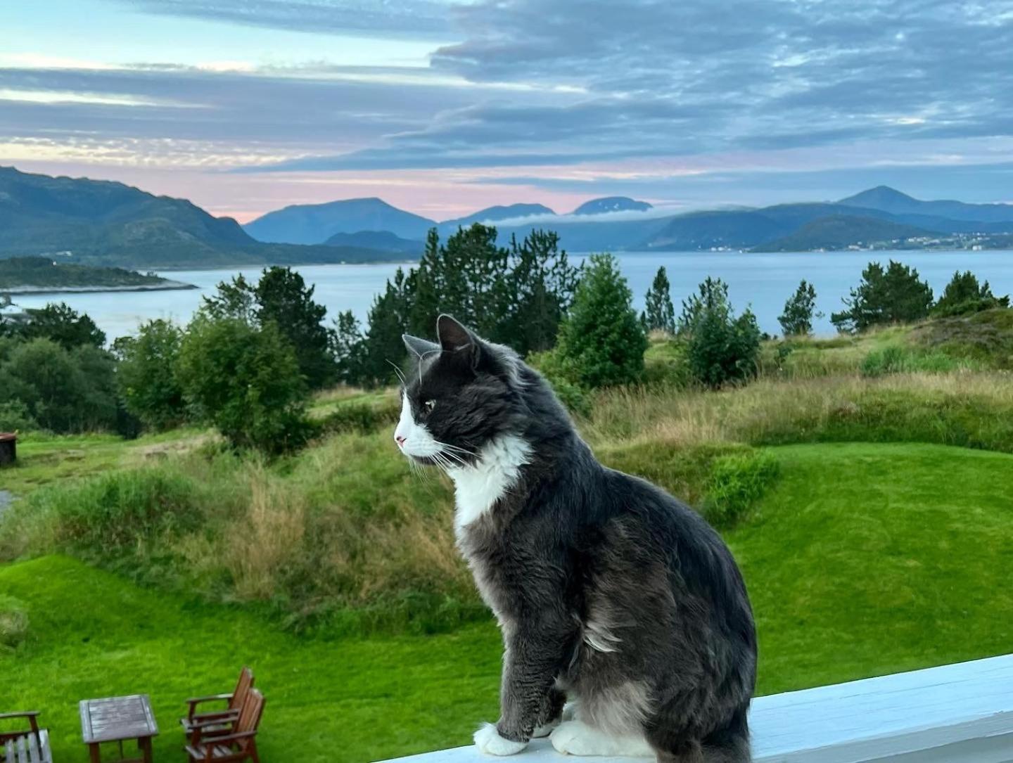 Wake Up To A Beautiful View And Smell Of The Sea Apartment Kristiansund Bagian luar foto